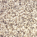 Granito Amarelo Granito Amarelo